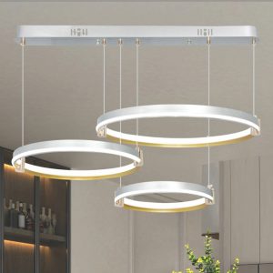 ĐÈN THẢ LED 79 LIGHTING TL-D84