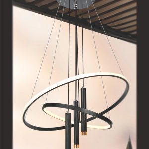 ĐÈN THẢ LED 79 LIGHTING TL-D54